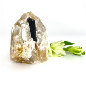Crystals NZ: Black tourmaline in golden healer quartz crystal