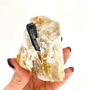Crystals NZ: Black tourmaline in golden healer quartz crystal