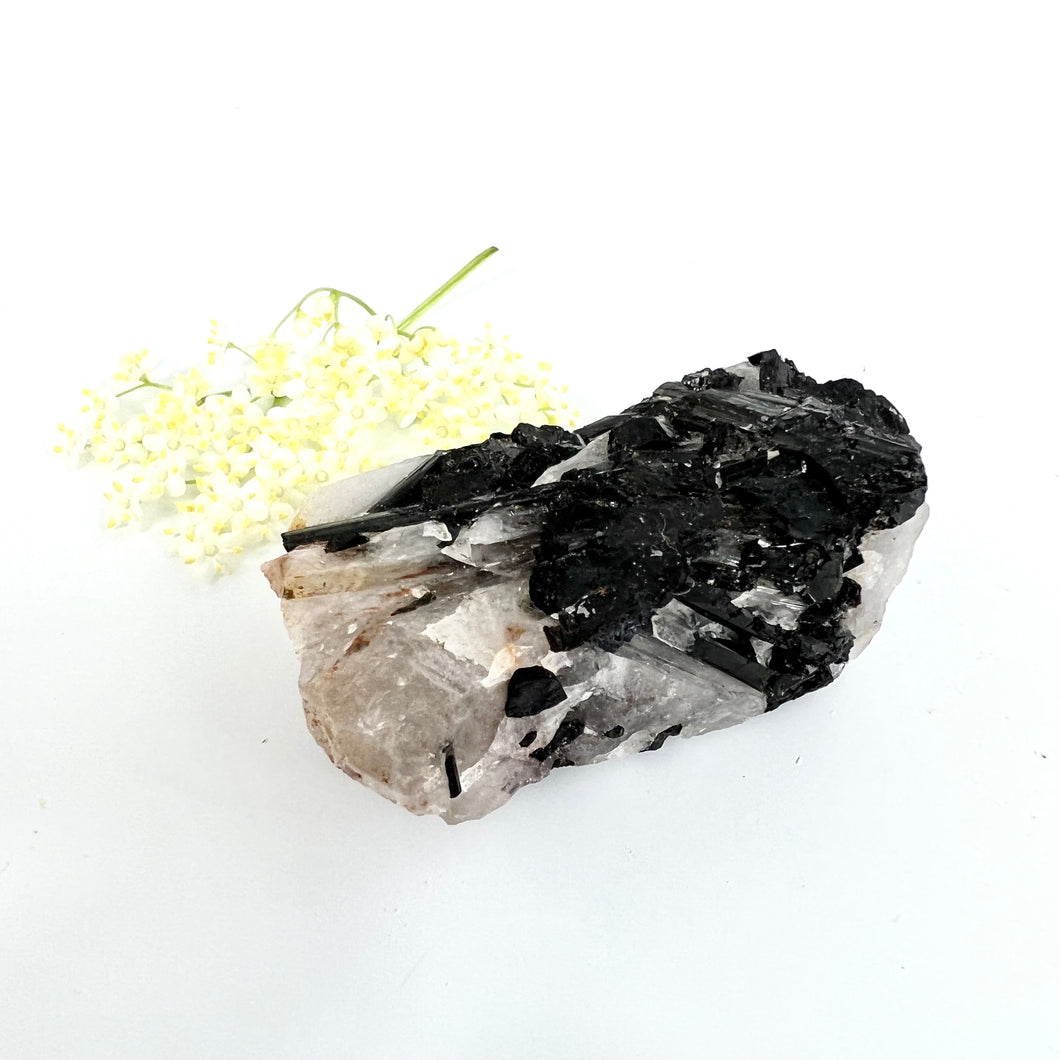 Crystals NZ: Black tourmaline in quartz crystal A grade