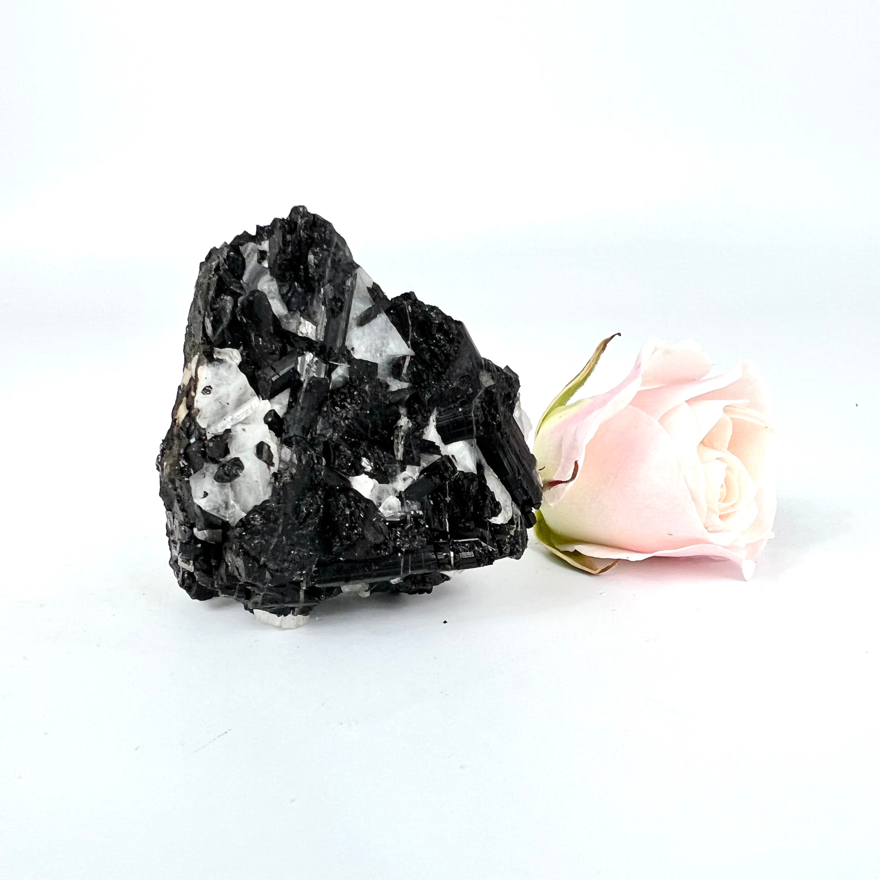 Crystals NZ: Black tourmaline in quartz crystal A Grade