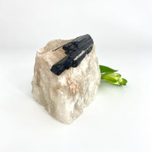 Load image into Gallery viewer, Crystals NZ: Black tourmaline in quartz crystal
