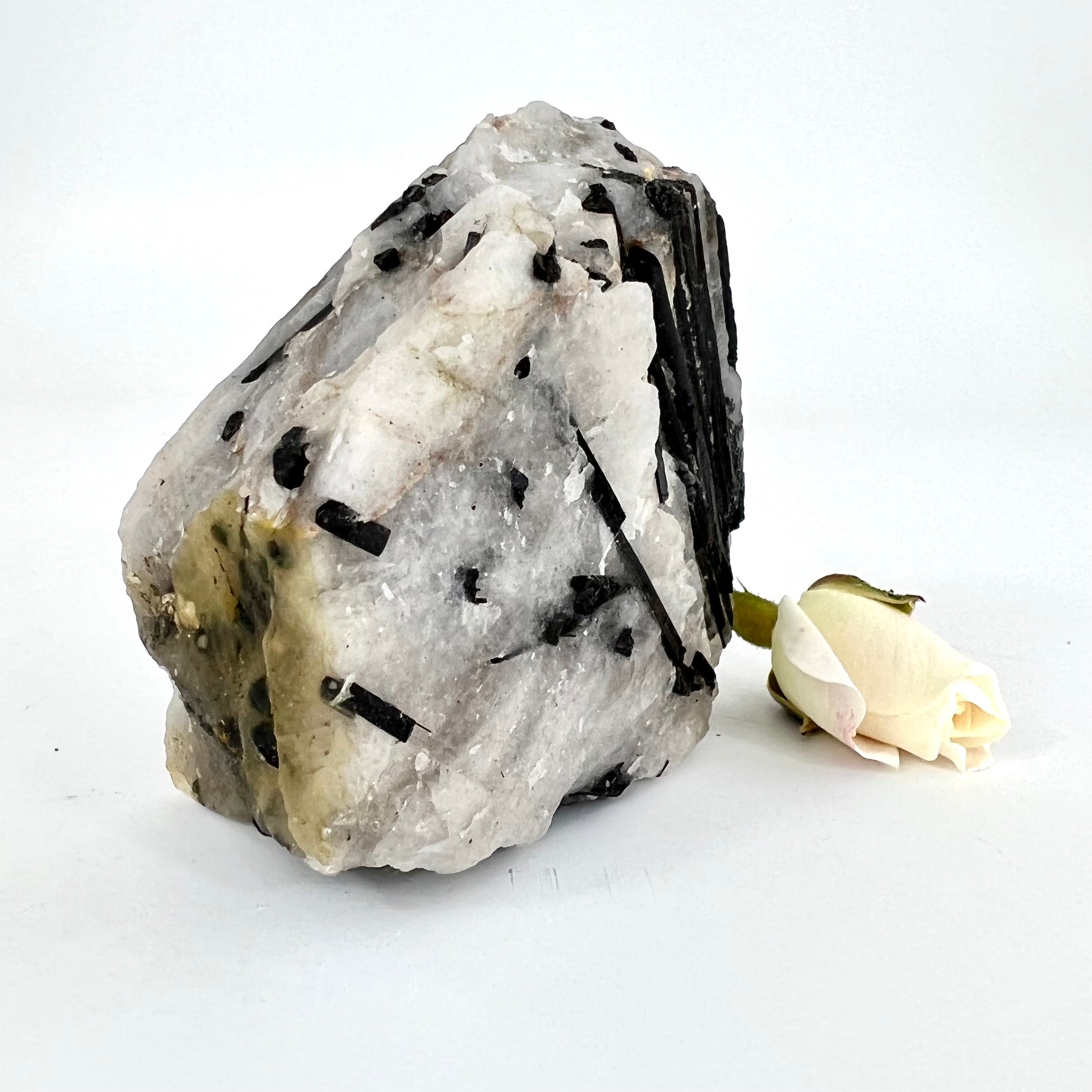 Crystals NZ: A-Grade black tourmaline in quartz crystal