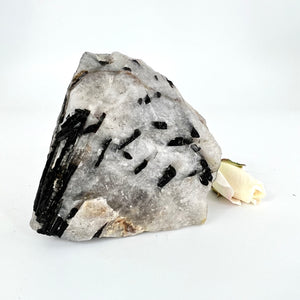 Crystals NZ: A-Grade black tourmaline in quartz crystal