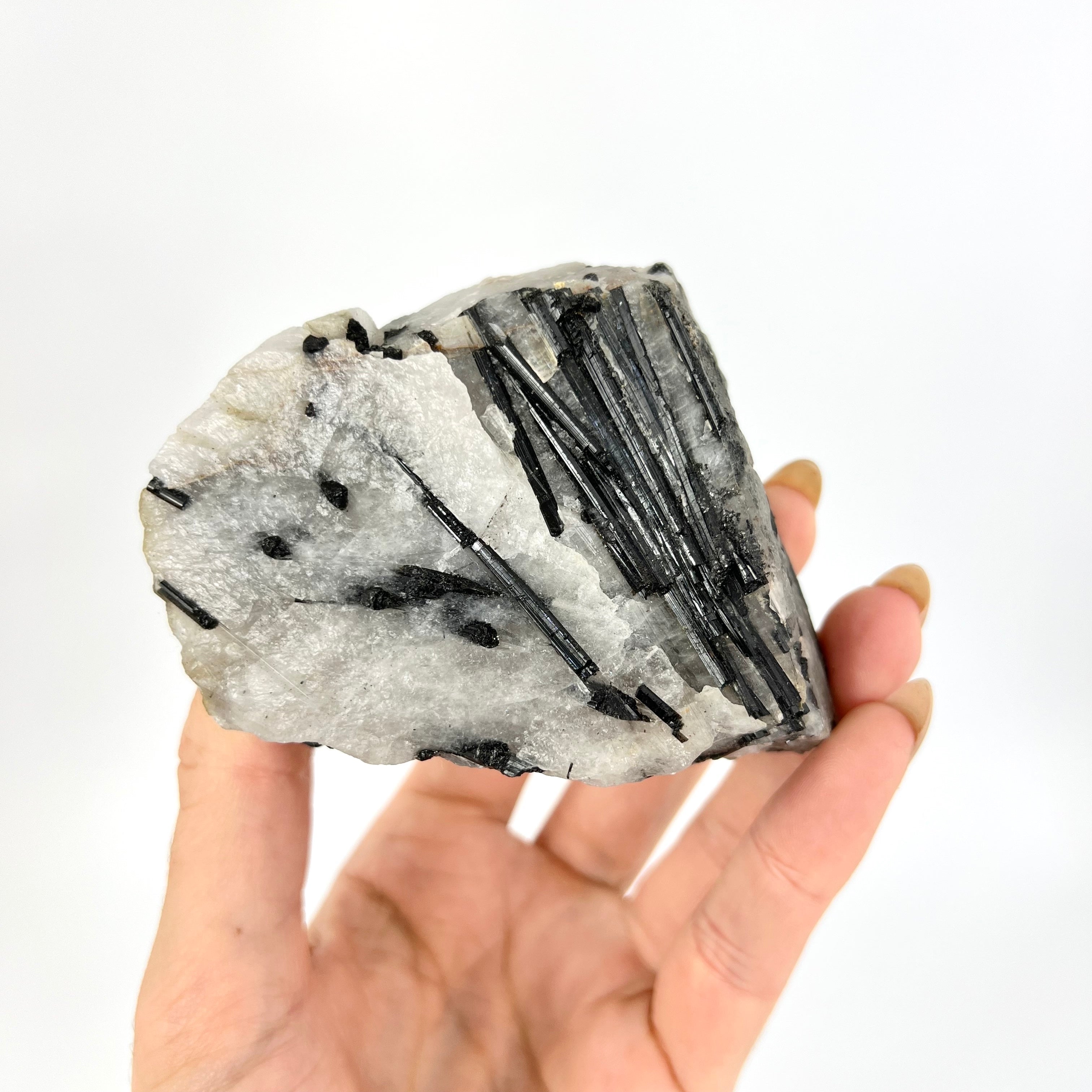 Crystals NZ: A-Grade black tourmaline in quartz crystal