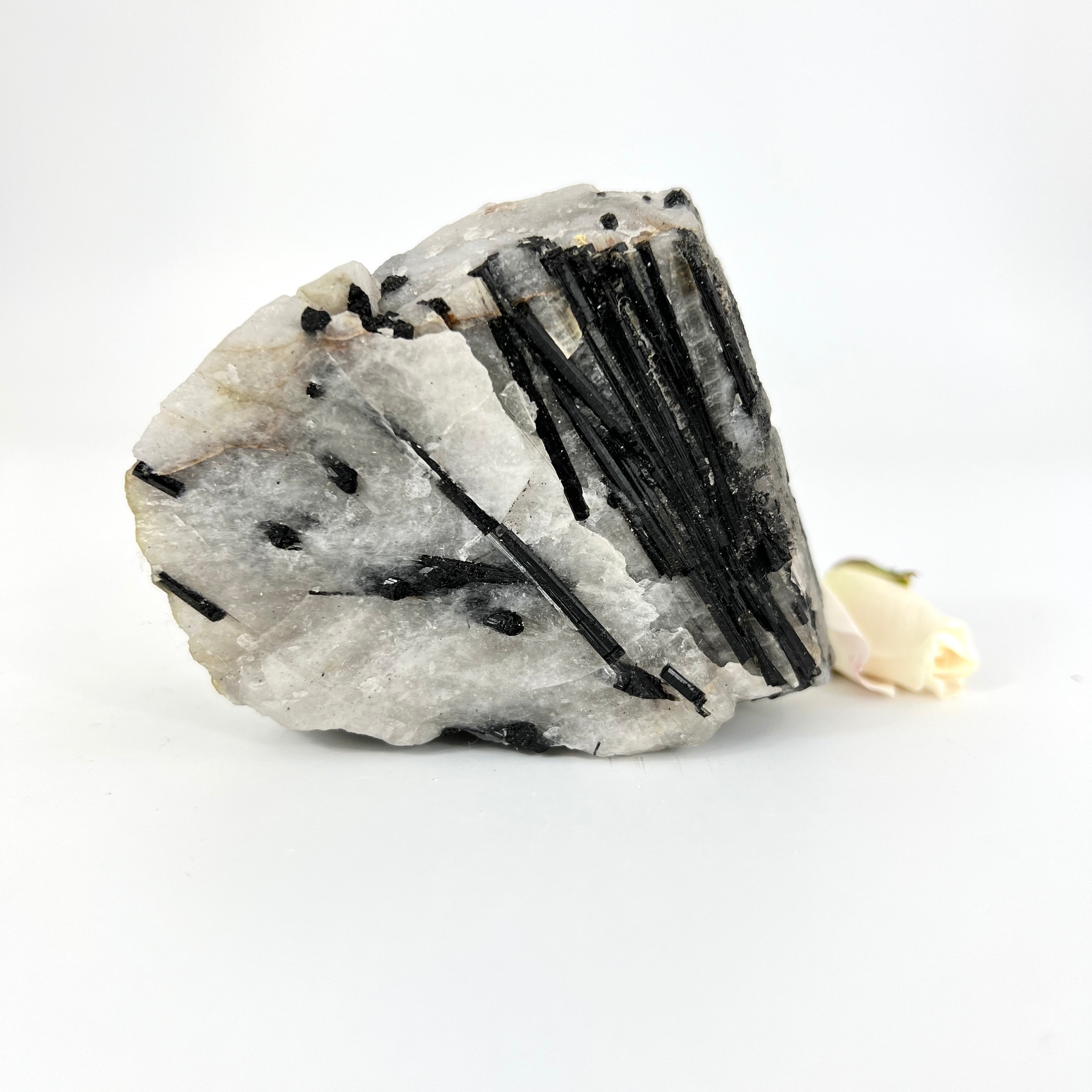 Crystals NZ: A-Grade black tourmaline in quartz crystal