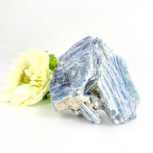 Crystals NZ: Blue kyanite crystal cluster