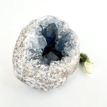 Load image into Gallery viewer, Crystals NZ: Celestite crystal geode
