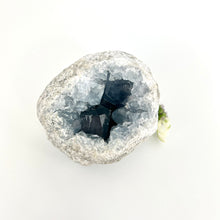 Load image into Gallery viewer, Crystals NZ: Celestite crystal geode
