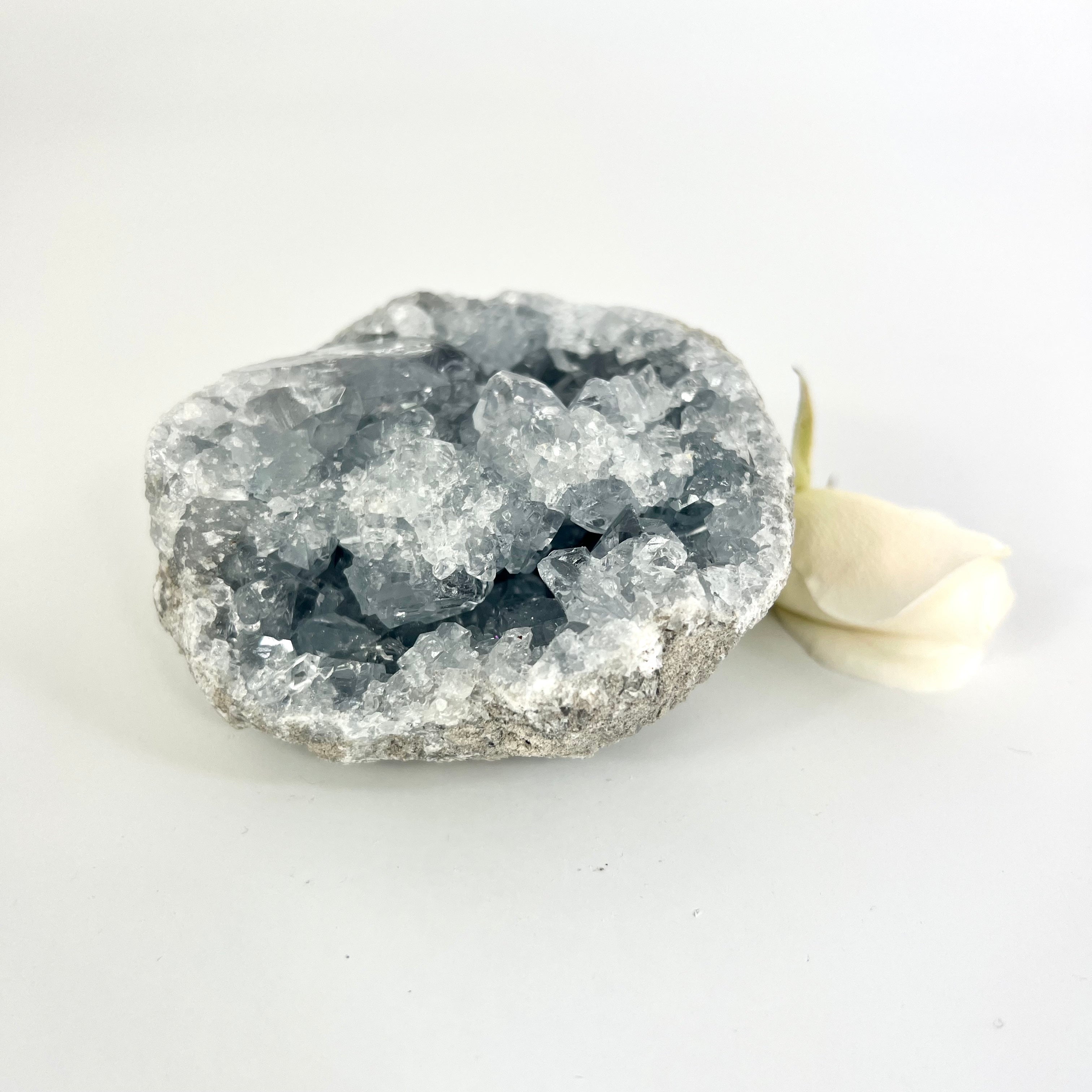 Crystals NZ: Celestite crystal cluster