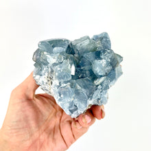 Load image into Gallery viewer, Crystals NZ: Celestite crystal cluster 1.1kg
