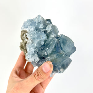Crystals NZ: Celestite crystal cluster 1.1kg