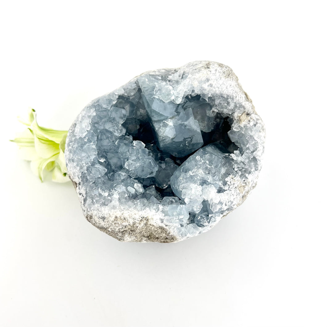 Crystals NZ: Celestite crystal geode cluster