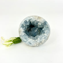 Load image into Gallery viewer, Crystals NZ: Celestite crystal sphere
