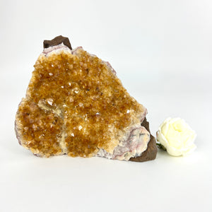Crystals NZ: Citrine crystal cluster with cut base