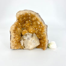 Load image into Gallery viewer, Crystals NZ: Citrine crystal cluster cut base
