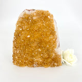 Crystals NZ: Citrine crystal cluster with cut base