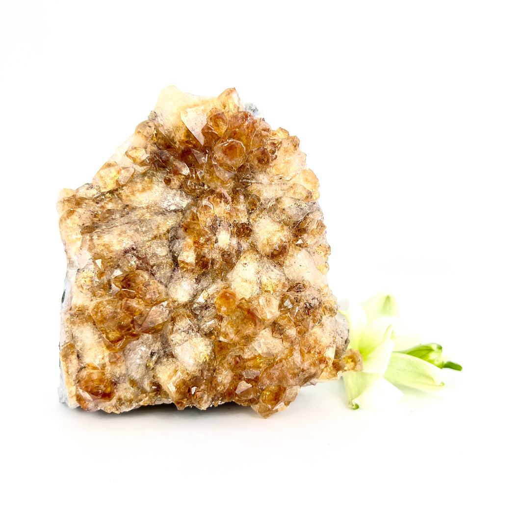 Crystals NZ: Citrine crystal cluster