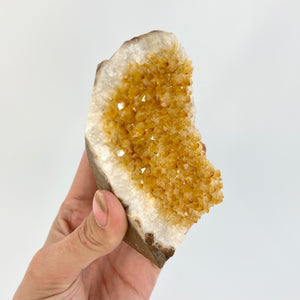 Crystals NZ: Citrine crystal cluster with cut base