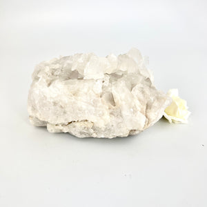 Clear quartz crystal cluster | ASH&STONE Crystals Shop Auckland NZ