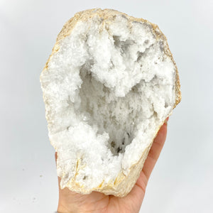 Large crystals NZ: Large clear quartz crystal geode half