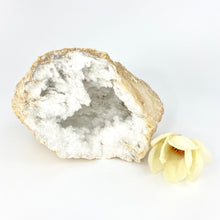 Load image into Gallery viewer, Large crystals NZ: Large clear quartz crystal geode half
