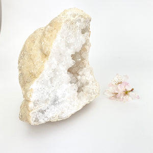Large crystals NZ: Clear quartz crystal geode half 1.9kg