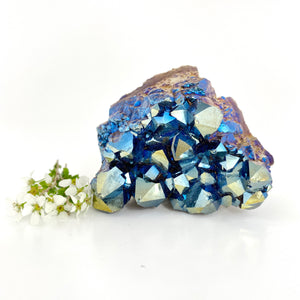 Crystals NZ: Cobalt aura quartz crystal cluster