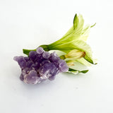 Crystals NZ: Grape agate crystal cluster - rare