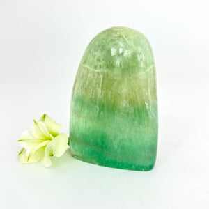 Crystals NZ: Green fluorite crystal polished free form