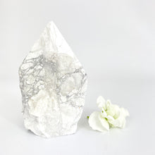 Load image into Gallery viewer, Crystals NZ: Howlite crystal polished point
