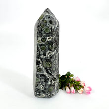 Load image into Gallery viewer, Crystals NZ: Kambaba jasper crystal generator
