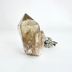 Crystals NZ: Kundalini Natural Citrine Crystal - extremely rare