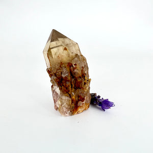 Crystals NZ: Kundalini Natural Citrine Crystal Cluster - extremely rare