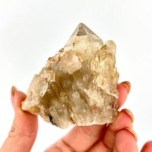Crystals NZ: Kundalini Natural Citrine Crystal Cluster with phantom- extremely rare