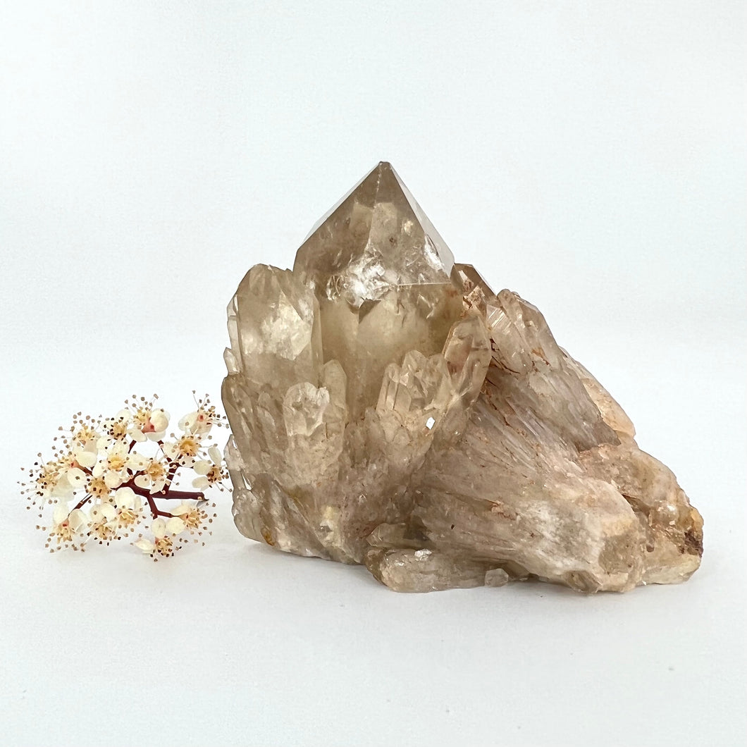 Crystals NZ: Kundalini Natural Citrine Crystal Cluster with phantom- extremely rare