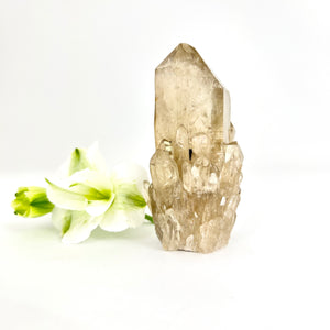 Crystals NZ: Kundalini natural citrine crystal clustered point - extremely rare