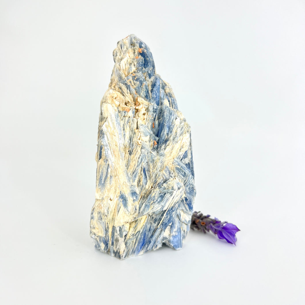 Crystals NZ: Blue kyanite crystal cluster