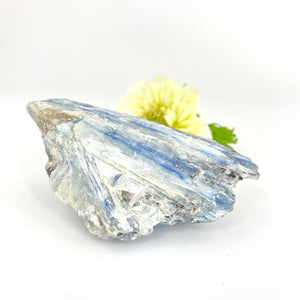 Crystals NZ: Kyanite crystal cluster