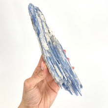 Load image into Gallery viewer, Crystals NZ: Kyanite crystal cluster
