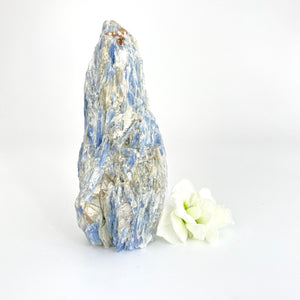 Crystals NZ: Kyanite in mica crystal
