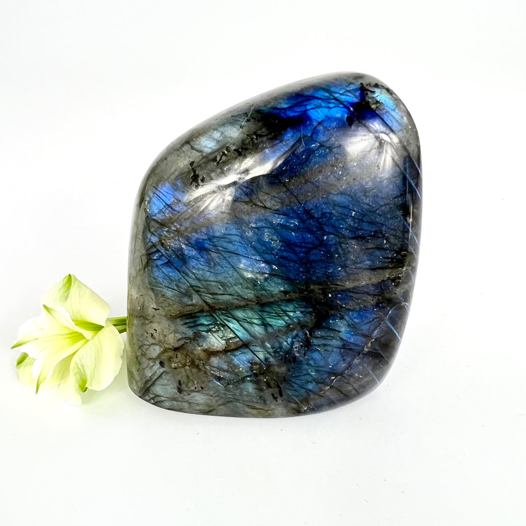 Crystals NZ: Labradorite crystal polished free form