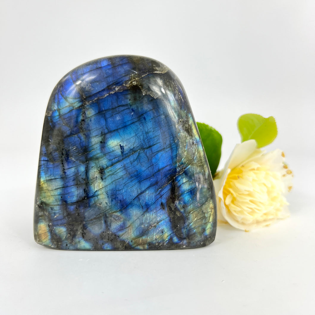 Crystals NZ: Labradorite crystal polished free form