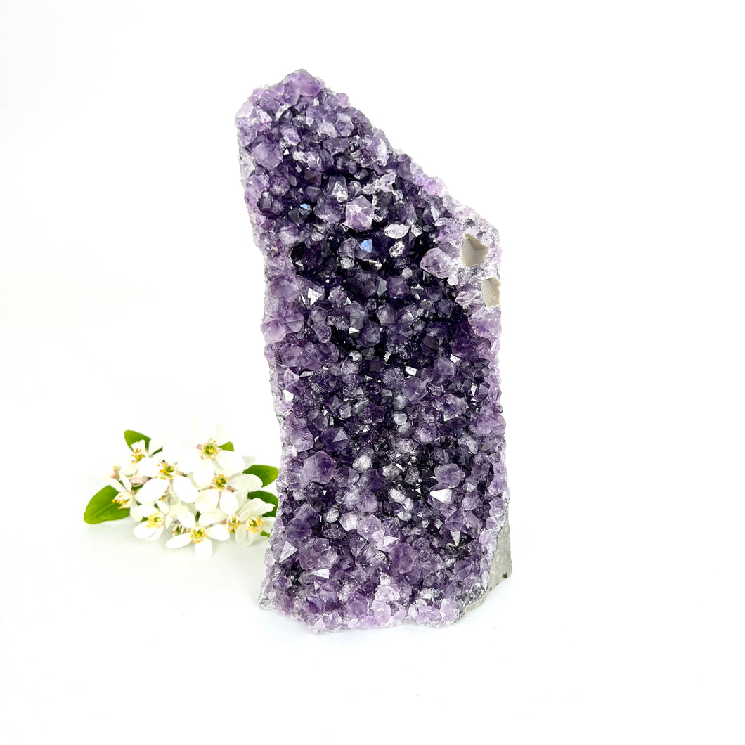 Crystals NZ: Large amethyst crystal cluster