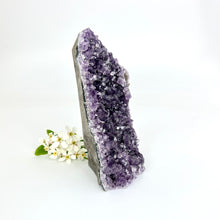 Load image into Gallery viewer, Crystals NZ: Large amethyst crystal cluster
