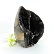 Load image into Gallery viewer, Large Crystals NZ: Large black septarian crystal cluster with cut base - dragon stone
