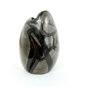 Large Crystals NZ: Large black septarian crystal cluster with cut base - dragon stone