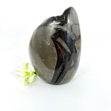 Load image into Gallery viewer, Large Crystals NZ: Large black septarian crystal cluster with cut base - dragon stone
