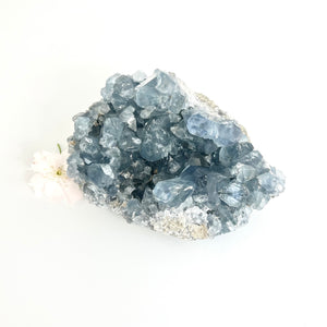 Crystals NZ: Celestite crystal cluster 1kg