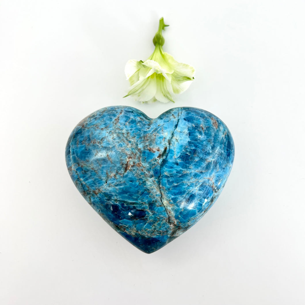 Crystals NZ: Large blue apatite polished crystal hearta