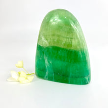 Load image into Gallery viewer, Crystals NZ: Large green fluorite crystal polished free form
